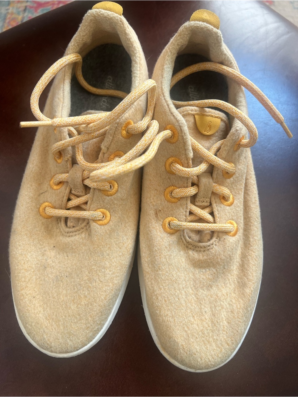 Allbirds wool gold lace up sneaker